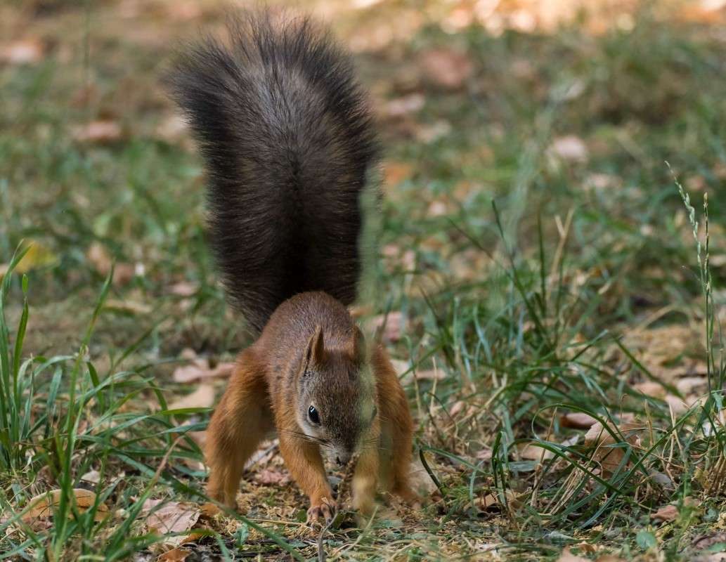 ���� ����� � ������ ������ �� ��� �� �������.... ����� ������  �� PhotoGeek.ru #�������� ��� #����� ��� ��� ���������