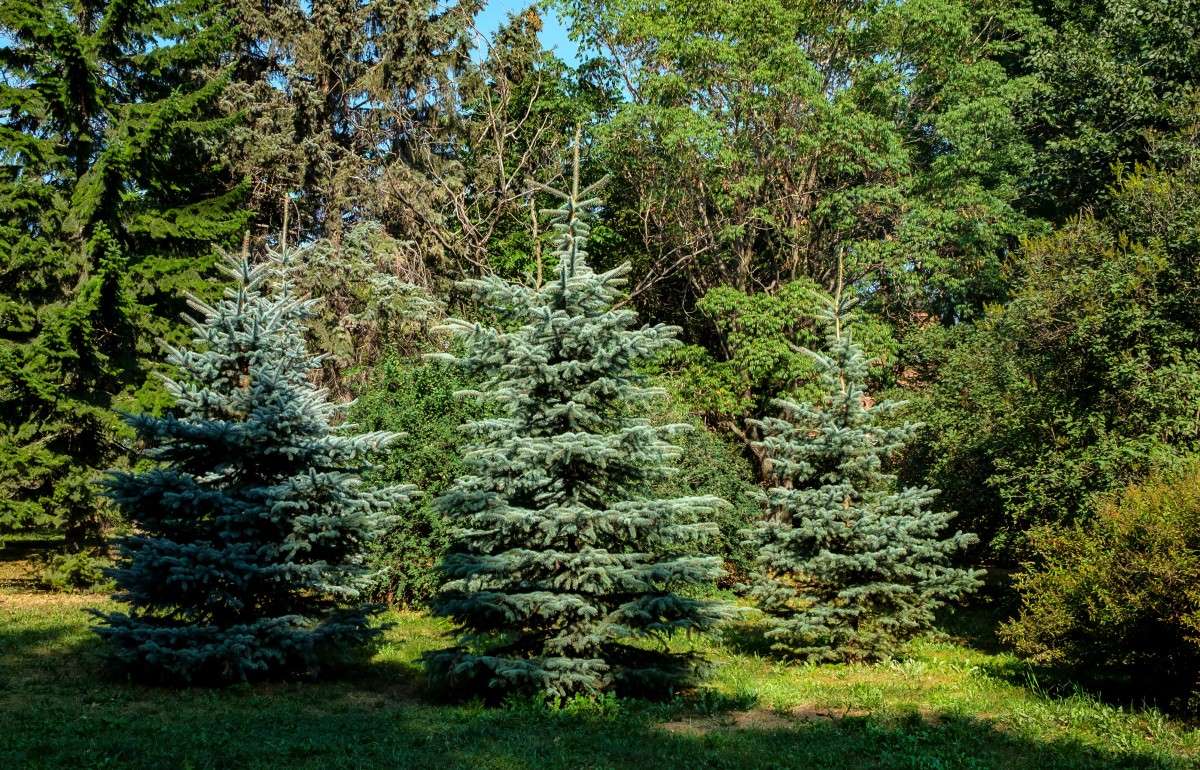 ���������� ������... ����� ������  �� PhotoGeek.ru #������ ��� ������� #����� ��������������