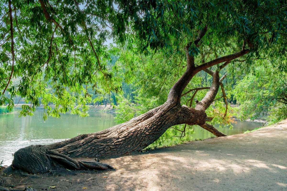 � ������ ����� ����� ������  �� PhotoGeek.ru #������ ��� ������� #����� ��������������