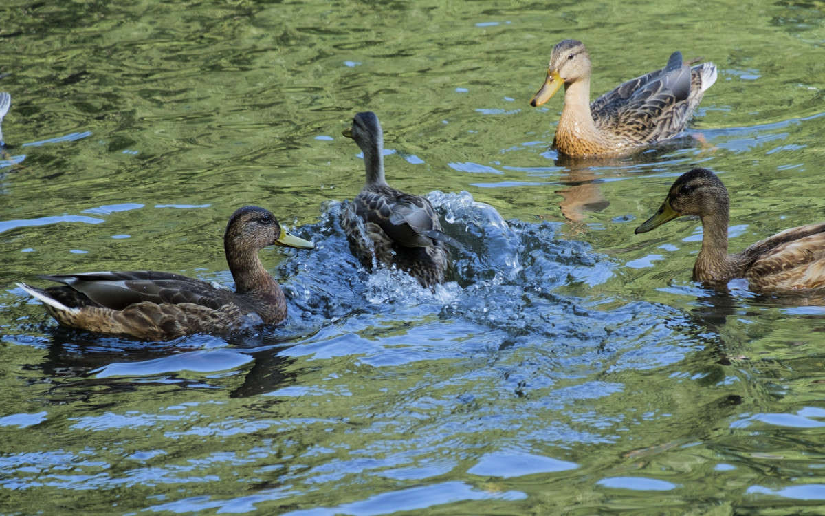 �� � ���� ��������???? ����� ������  �� PhotoGeek.ru #�������� ��� #����� ��� ��� ���������