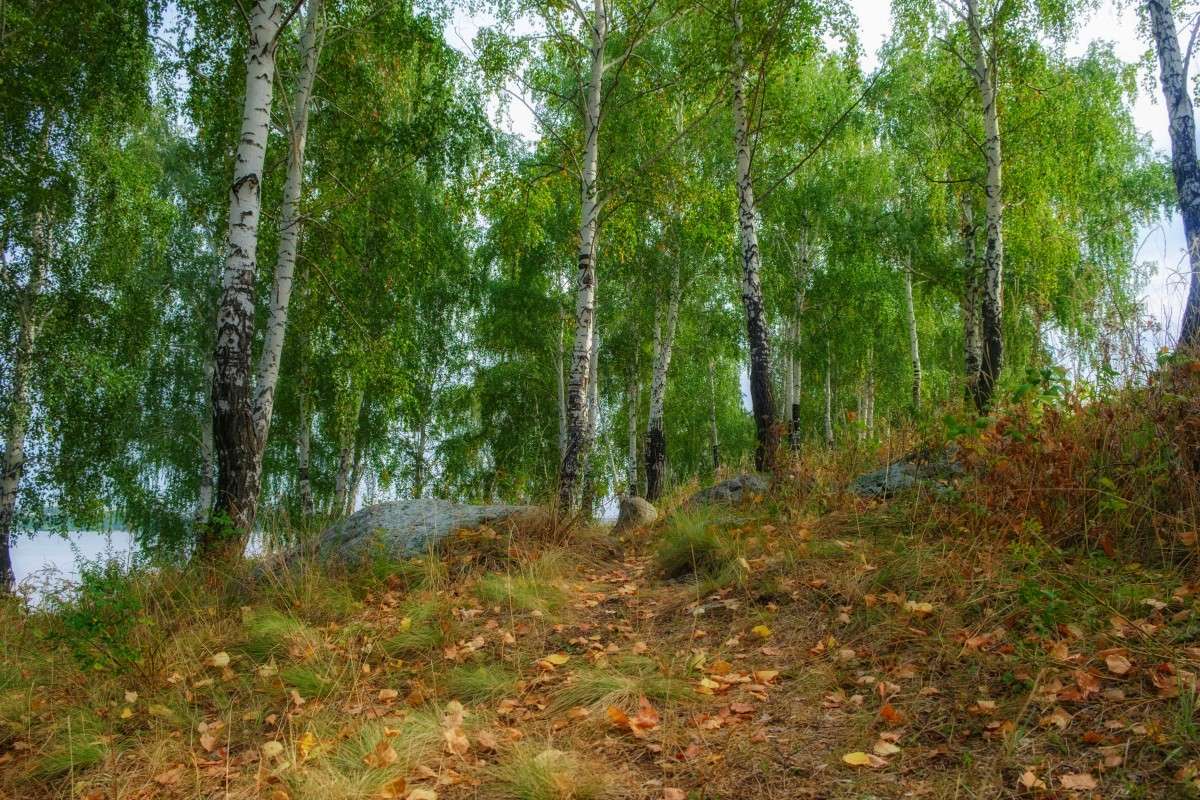 �����.����� ����� �������.... ����� ������  �� PhotoGeek.ru #������ ��� ������� #����� ��������������