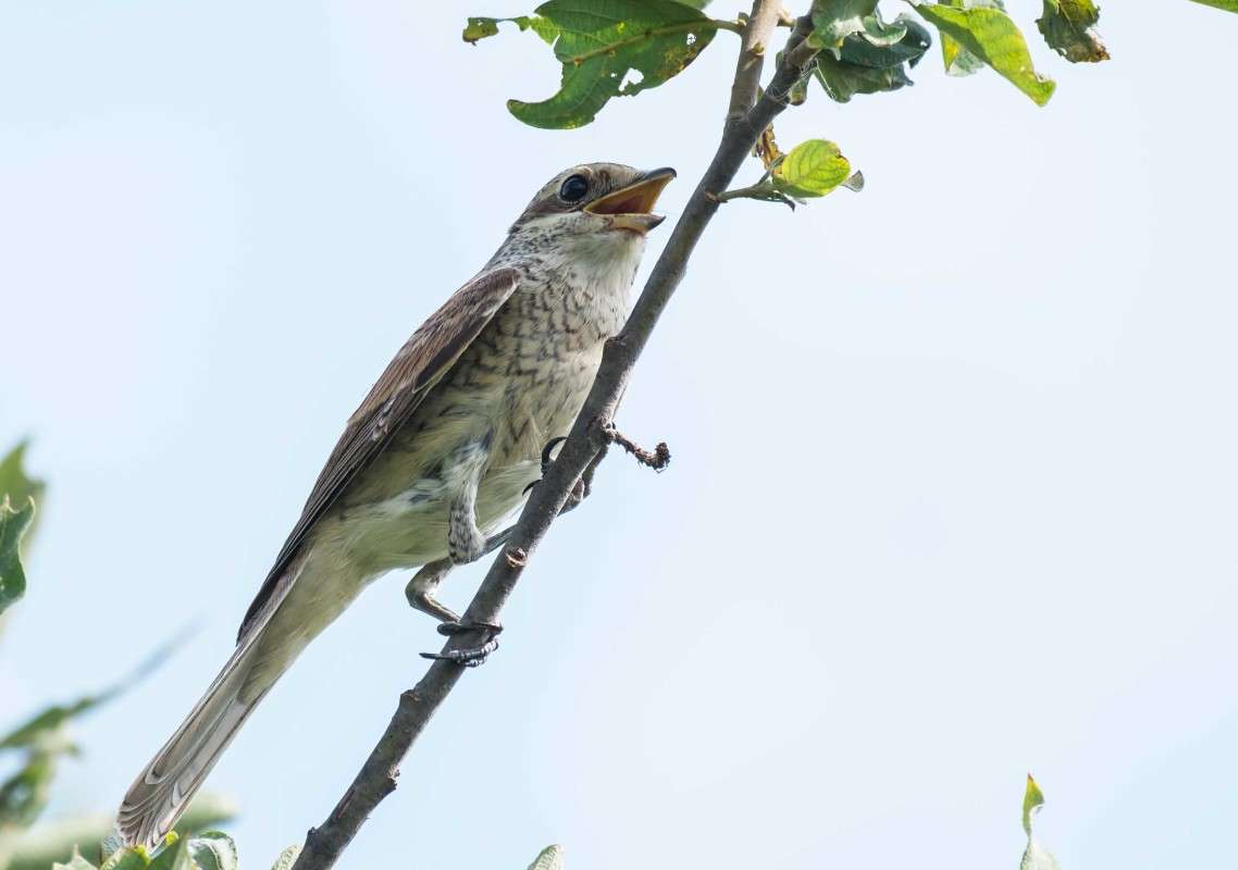 ����� ������... ����� ������  �� PhotoGeek.ru #�������� ��� #����� ��� ��� ���������