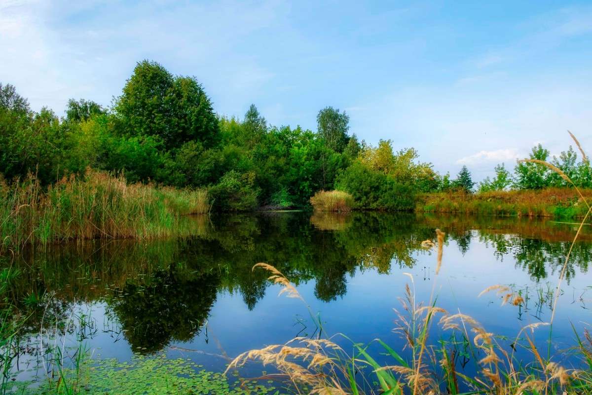 ������ ����� ������  �� PhotoGeek.ru #������ ��� ������� #����� ��������