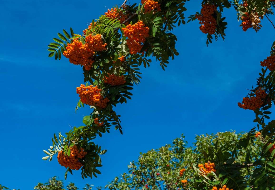 ��������� ��������� ����� ������  �� PhotoGeek.ru #������ ��� ������� #����� ��������������