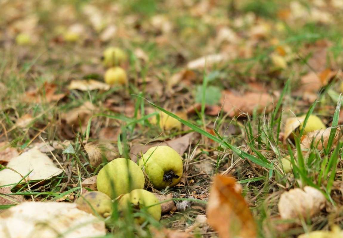 ��� � ����� ������... ����� ������  �� PhotoGeek.ru #������ ��� ������� #����� ��������������