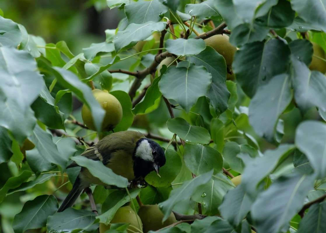 � ������� �������! ����� ������  �� PhotoGeek.ru #�������� ��� #����� ��� ��� ���������