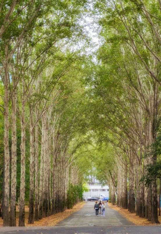 �� ����� ��� ��������.... ����� ������  �� PhotoGeek.ru #������ ��� ������� #����� ��������