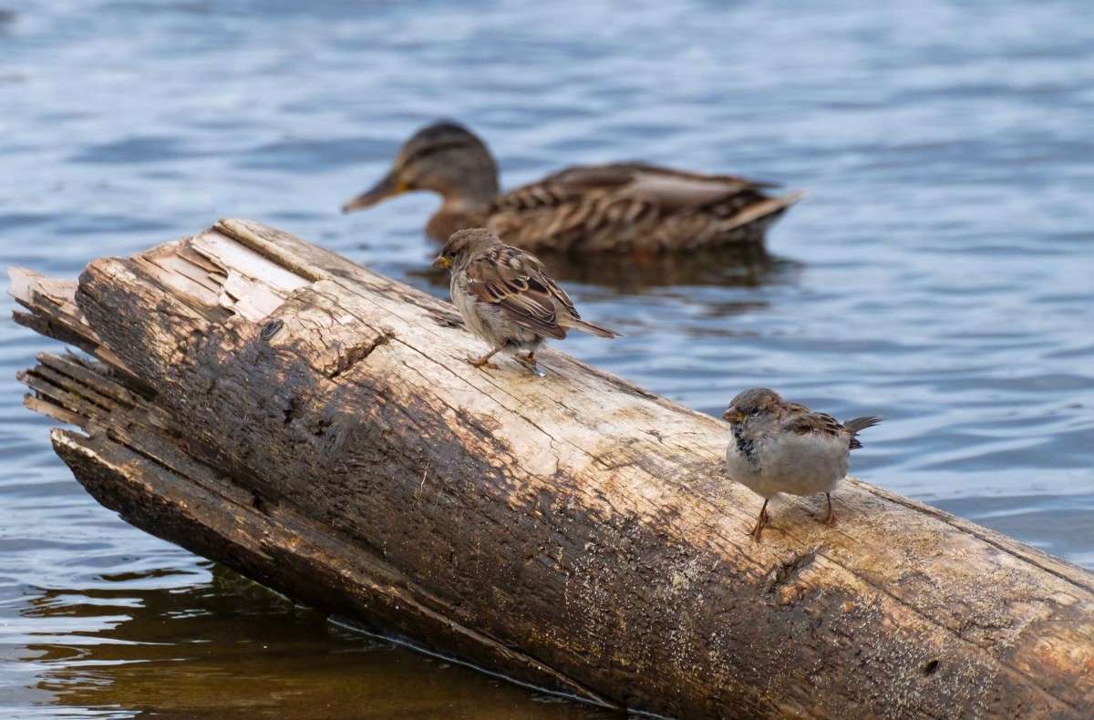 ������� ������ ����� ������  �� PhotoGeek.ru #�������� ��� #����� ��� ��� ���������