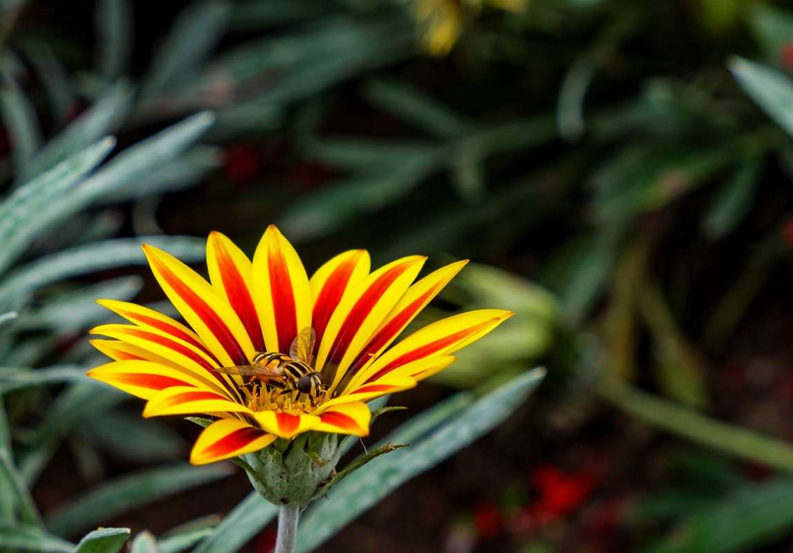 ��������� �� ���������.. ����� ������  �� PhotoGeek.ru #������ ��� ������� #����� ��������������