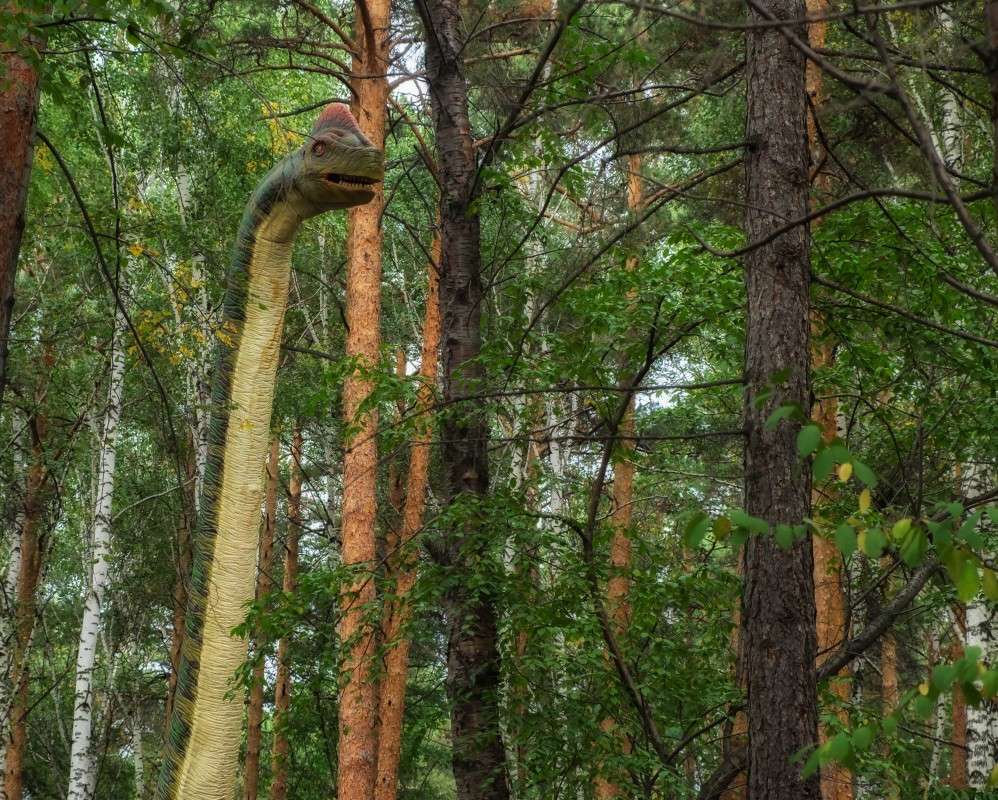 � ��� �� ����� ���� � �����..... ����� ������  �� PhotoGeek.ru #�������� ��� #����� ��� ��� ���������