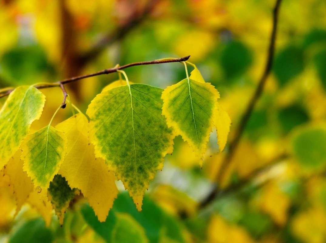 ��� � ����� ������ ����� ������  �� PhotoGeek.ru #������ ��� ������� #����� ��������������