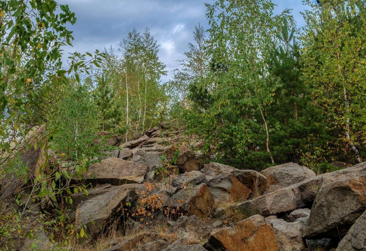 �������� ����... ����� ������  �� PhotoGeek.ru #������ ��� ������� #����� ��������