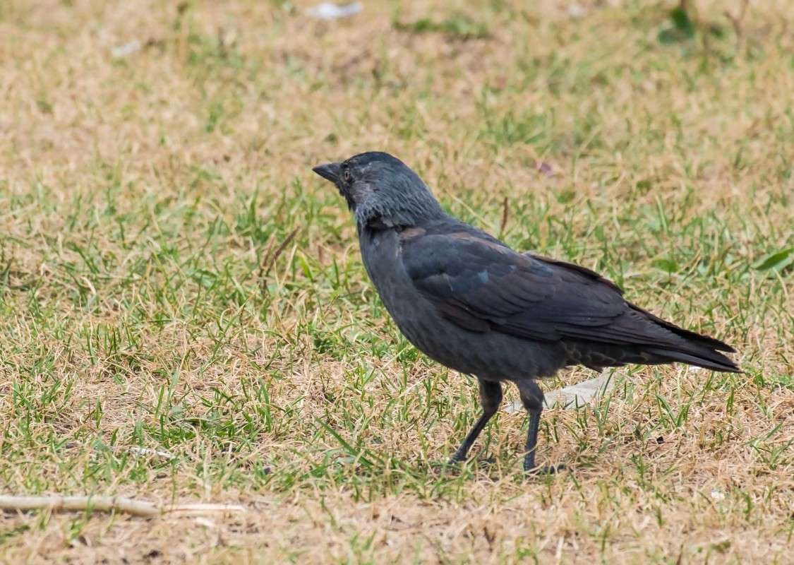 ����� ����� ������  �� PhotoGeek.ru #�������� ��� #����� ��� ��� ���������