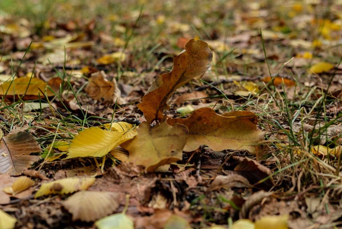 �����..... ����� ������  �� PhotoGeek.ru #������ ��� ������� #����� ��������������