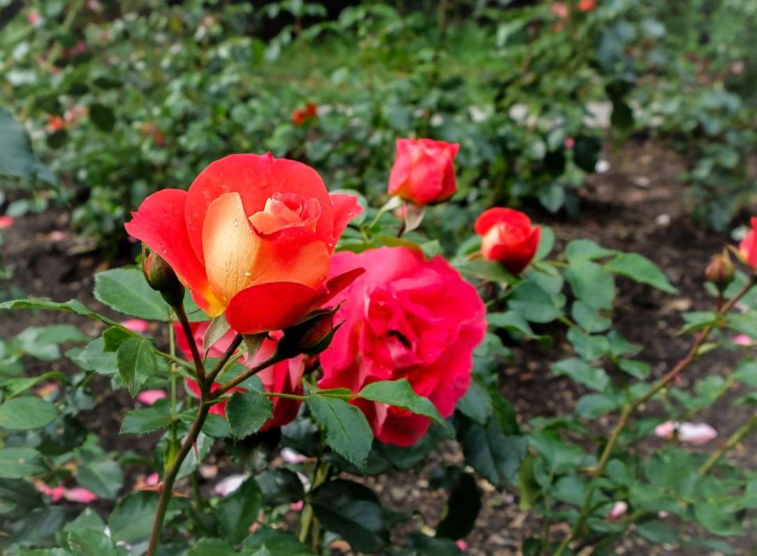 �� ��� � ���� ������ ����.... ����� ������  �� PhotoGeek.ru #������ ��� ������� #����� ��������������