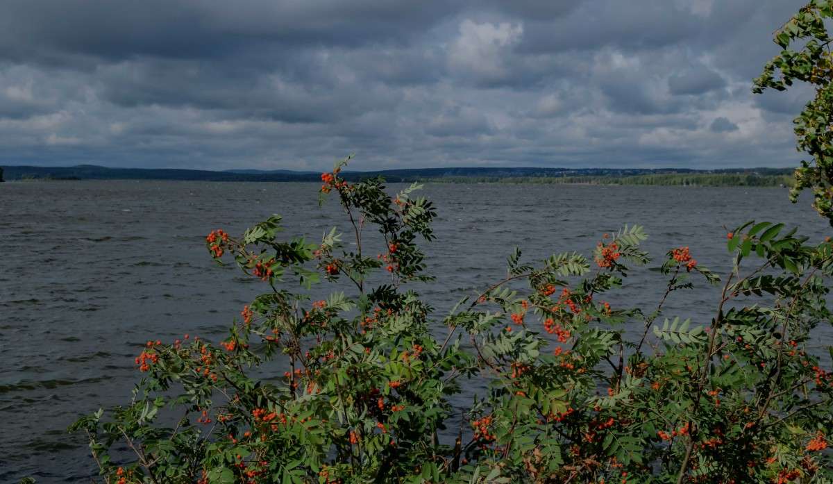 ������ ����� ����� ������  �� PhotoGeek.ru #������ ��� ������� #��������� #����� ��������