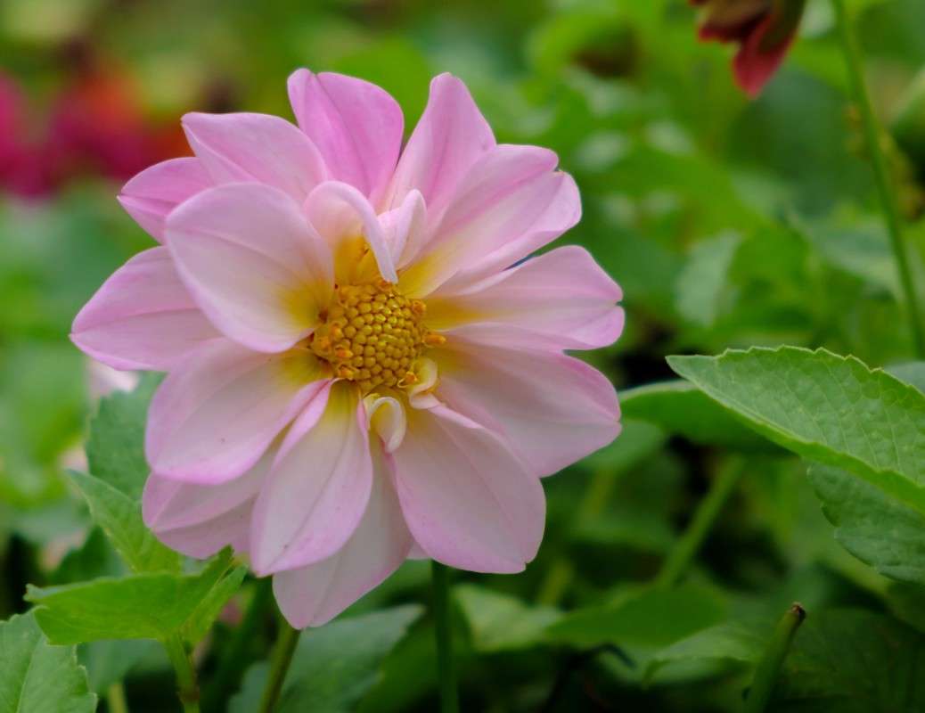 ���������..... ����� ������  �� PhotoGeek.ru #������ ��� ������� #����� ��������������