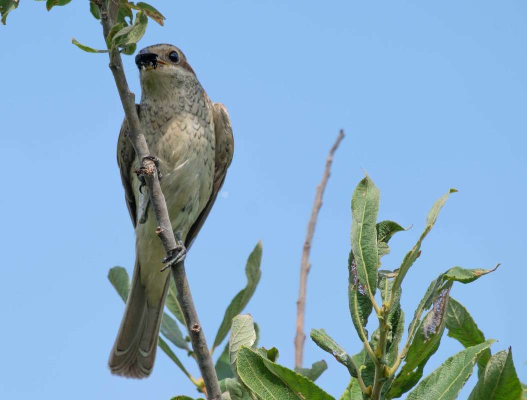 � ������� ! ����� ������  �� PhotoGeek.ru #�������� ��� #����� ��� ��� ���������