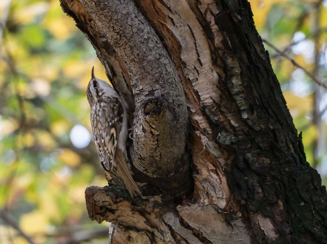 ������ ����� ������  �� PhotoGeek.ru #�������� ��� #����� ��� ��� ���������