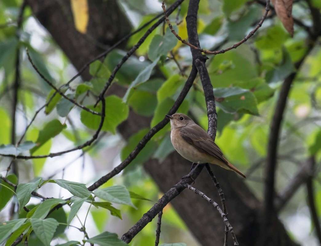 ����������� ����� ������  �� PhotoGeek.ru #�������� ��� #����� ��� ��� ���������