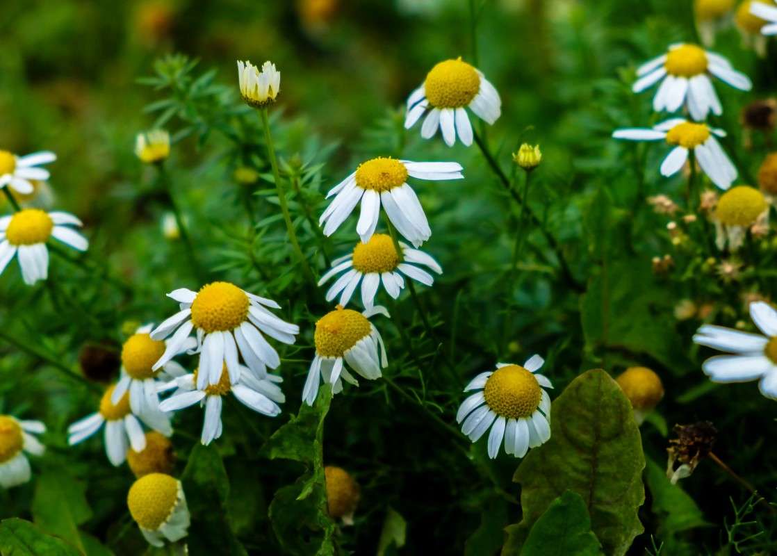 ���������....... ����� ������  �� PhotoGeek.ru #������ ��� ������� #����� ��������������