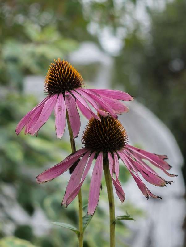 ������ ����.... ����� ������  �� PhotoGeek.ru #������ ��� ������� #����� ��������������