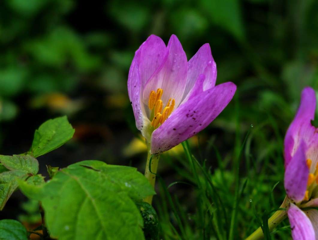 ������� ������ ����� ������  �� PhotoGeek.ru #������ ��� ������� #����� ��������������