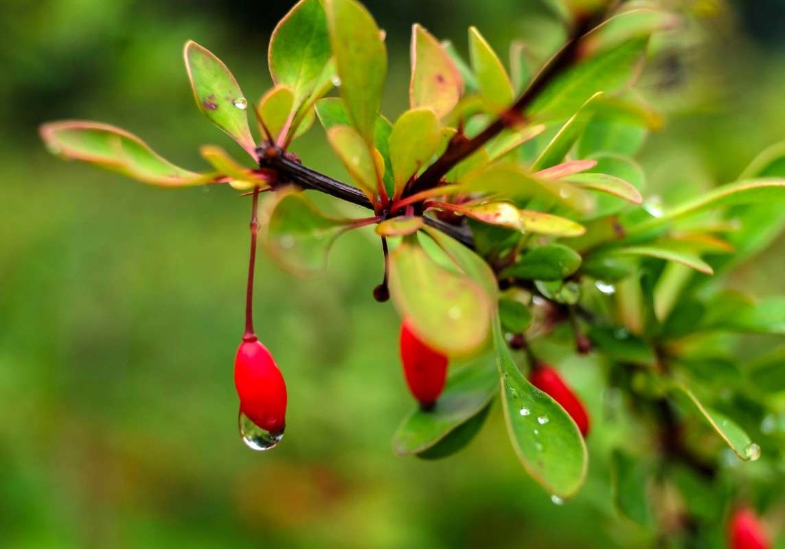 ���-���... ����� ������  �� PhotoGeek.ru #������ ��� ������� #����� ��������������