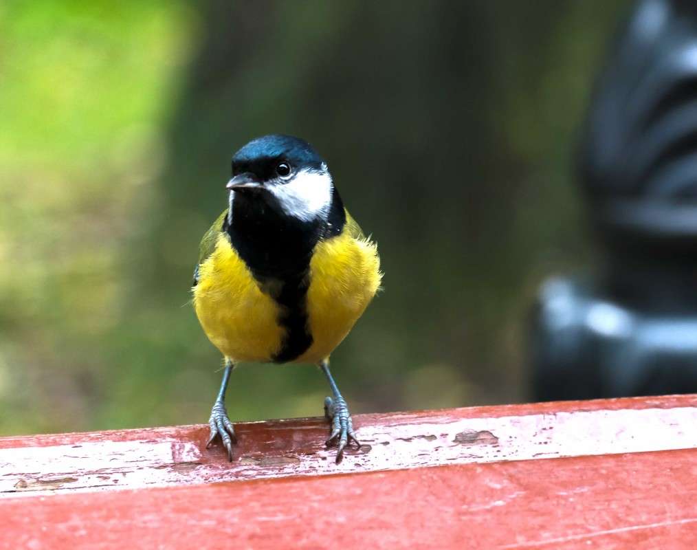 ������� ����� ������  �� PhotoGeek.ru #�������� ��� #����� ��� ��� ���������