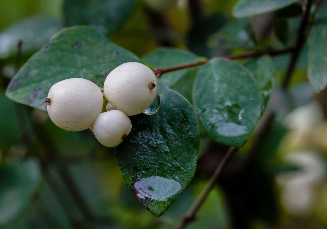 ....... ����� ������  �� PhotoGeek.ru #������ ��� ������� #����� ��������������