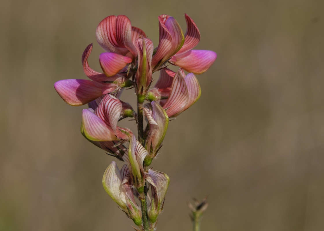 ..... ����� ������  �� PhotoGeek.ru #����� #����� ��������������