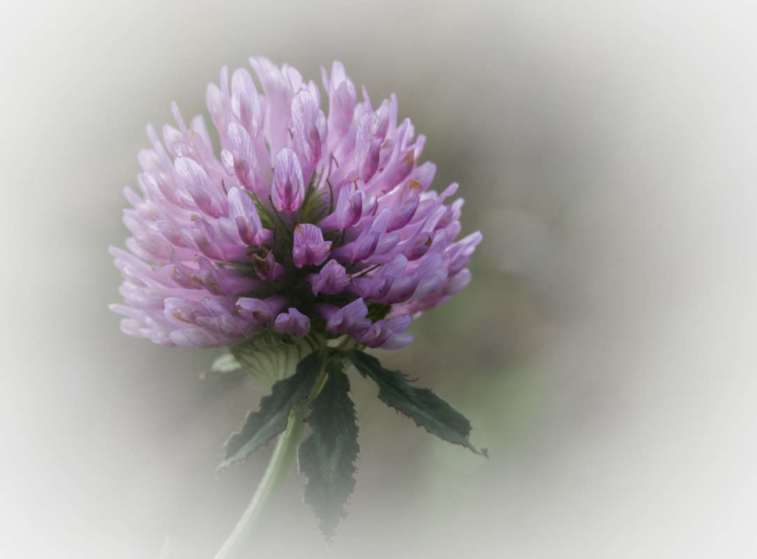 ..... ����� ������  �� PhotoGeek.ru #������ ��� �������