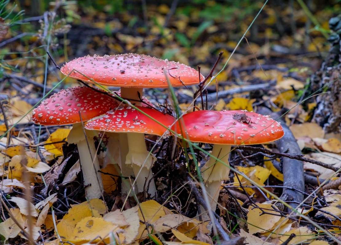 �����.... ����� ������  �� PhotoGeek.ru #������ ��� ������� #����� ��������������