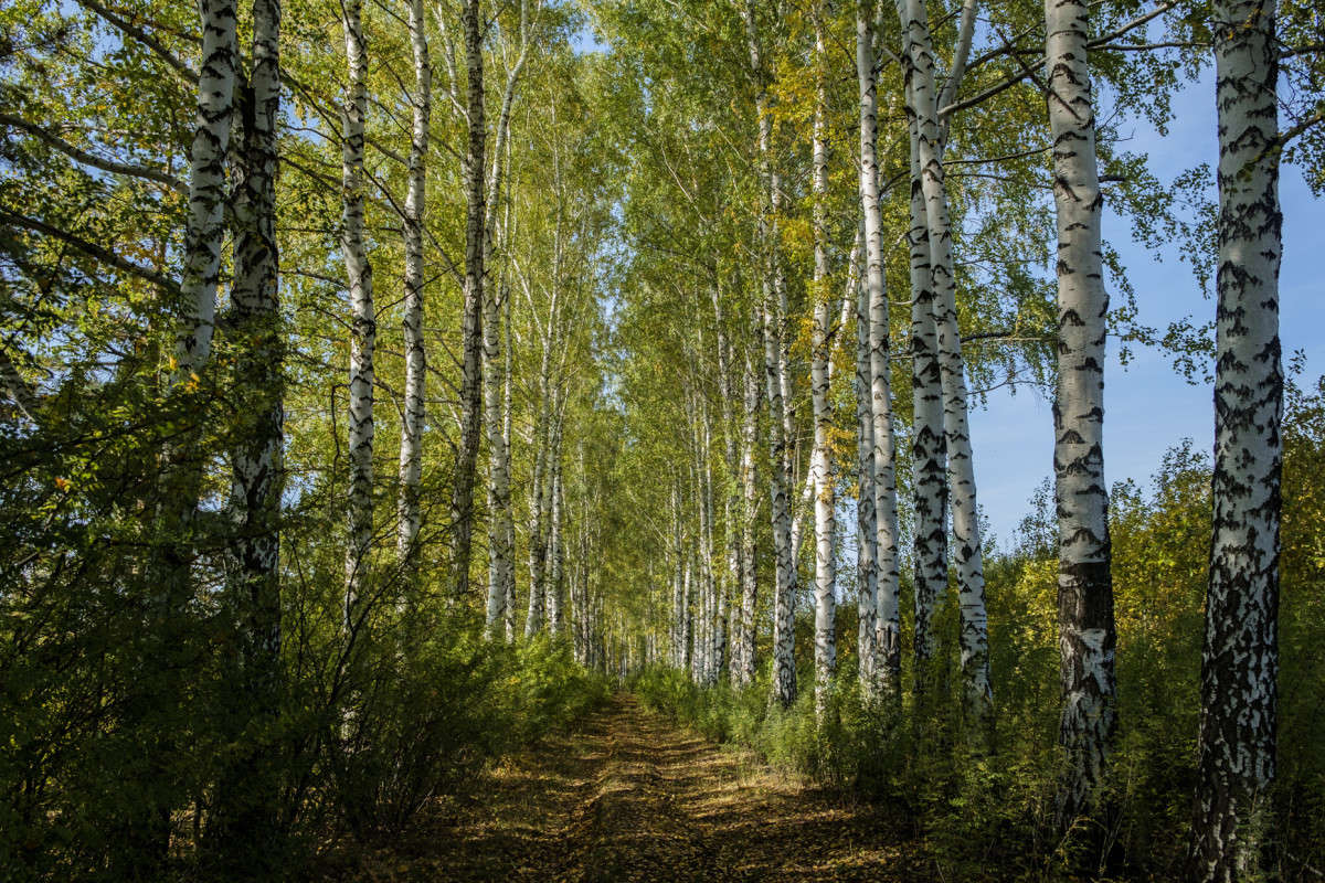 ����� ����.... ����� ������  �� PhotoGeek.ru #������ ��� ������� #���������