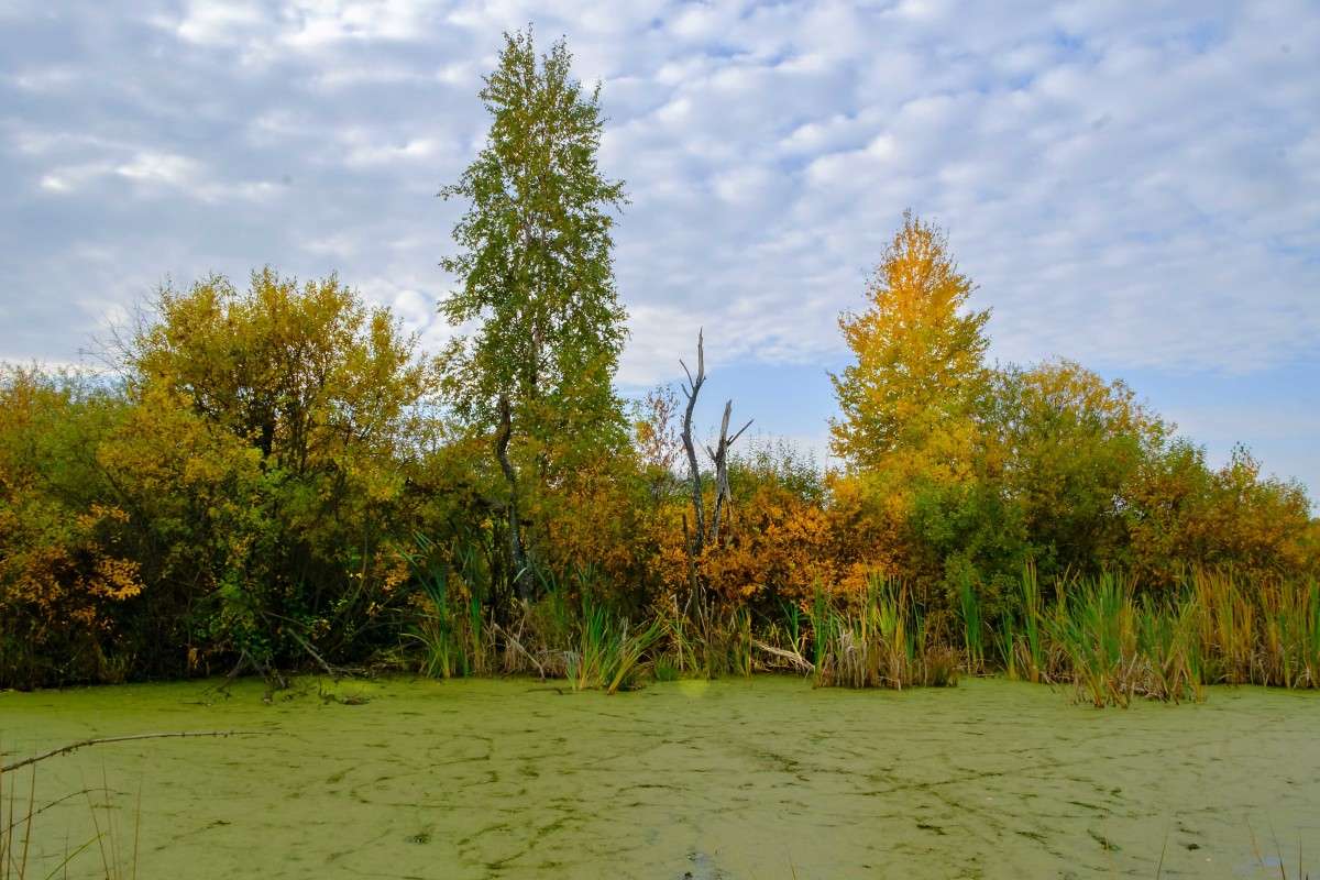 ������� ��������... ����� ������  �� PhotoGeek.ru #������ ��� ������� #����� ��������������