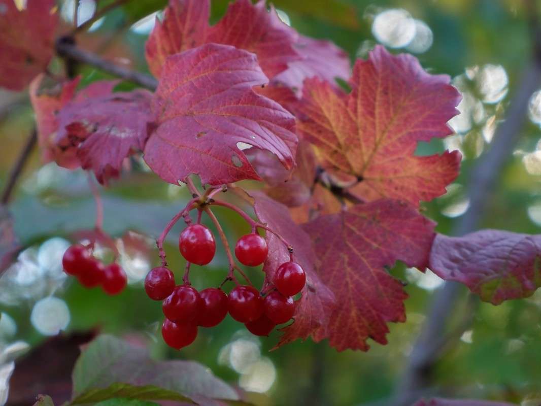 ������ �������... ����� ������  �� PhotoGeek.ru #������ ��� ������� #����� ��������������