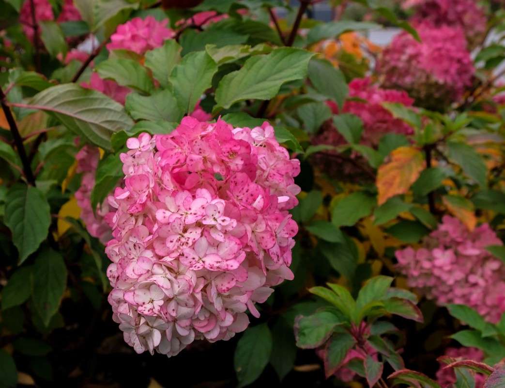 ���������.. ����� ������  �� PhotoGeek.ru #������ ��� ������� #����� ��������������