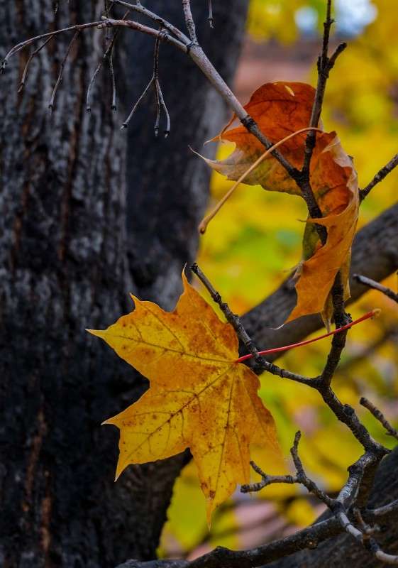 ������... ����� ������  �� PhotoGeek.ru #������ ��� ������� #���������