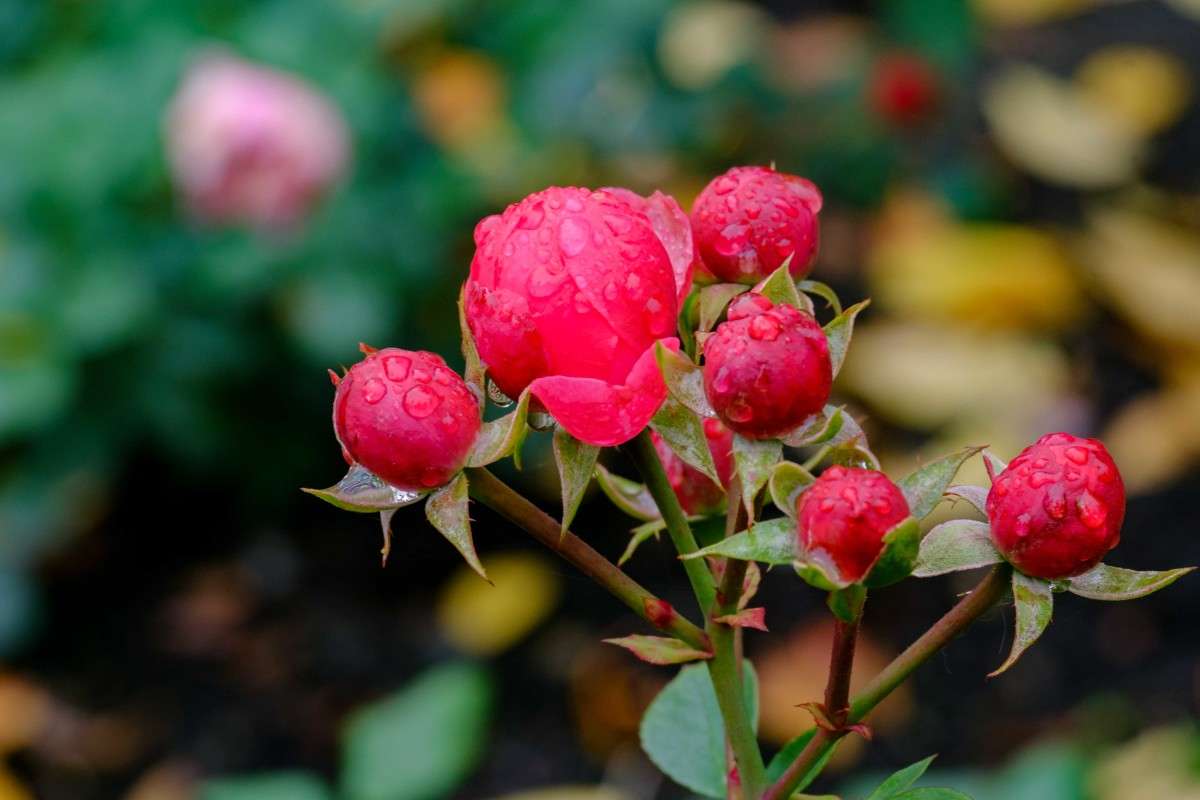 �������.... ����� ������  �� PhotoGeek.ru #������ ��� ������� #����� ��������������