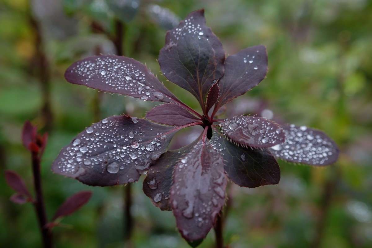 �������.... ����� ������  �� PhotoGeek.ru #������ ��� ������� #����� ��������������