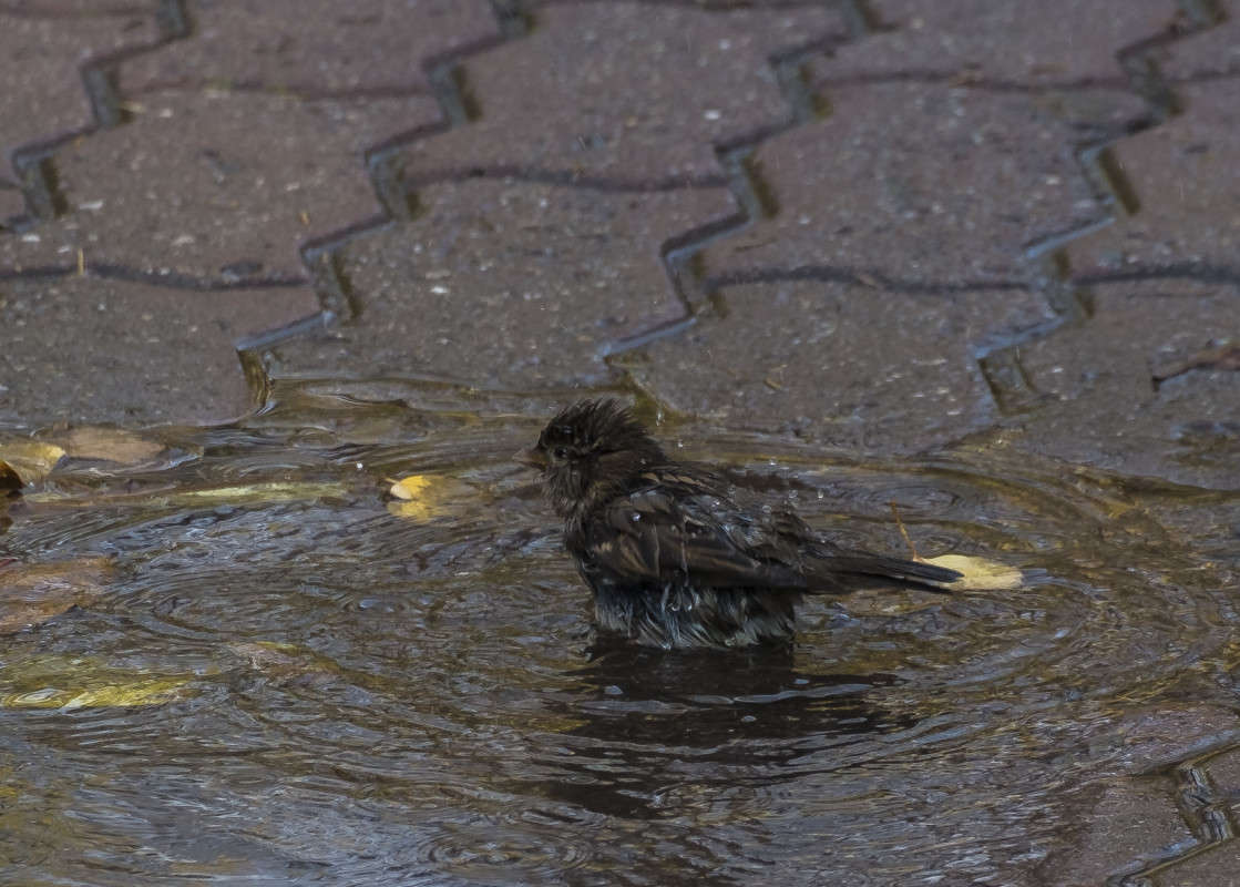 ������ ���������... ����� ������  �� PhotoGeek.ru #�������� ��� #����� ��� ��� ���������