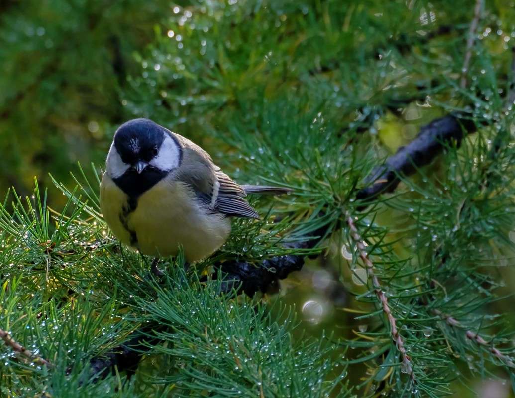 ����� �����.. ����� ������  �� PhotoGeek.ru #�������� ��� #����� ��� ��� ���������