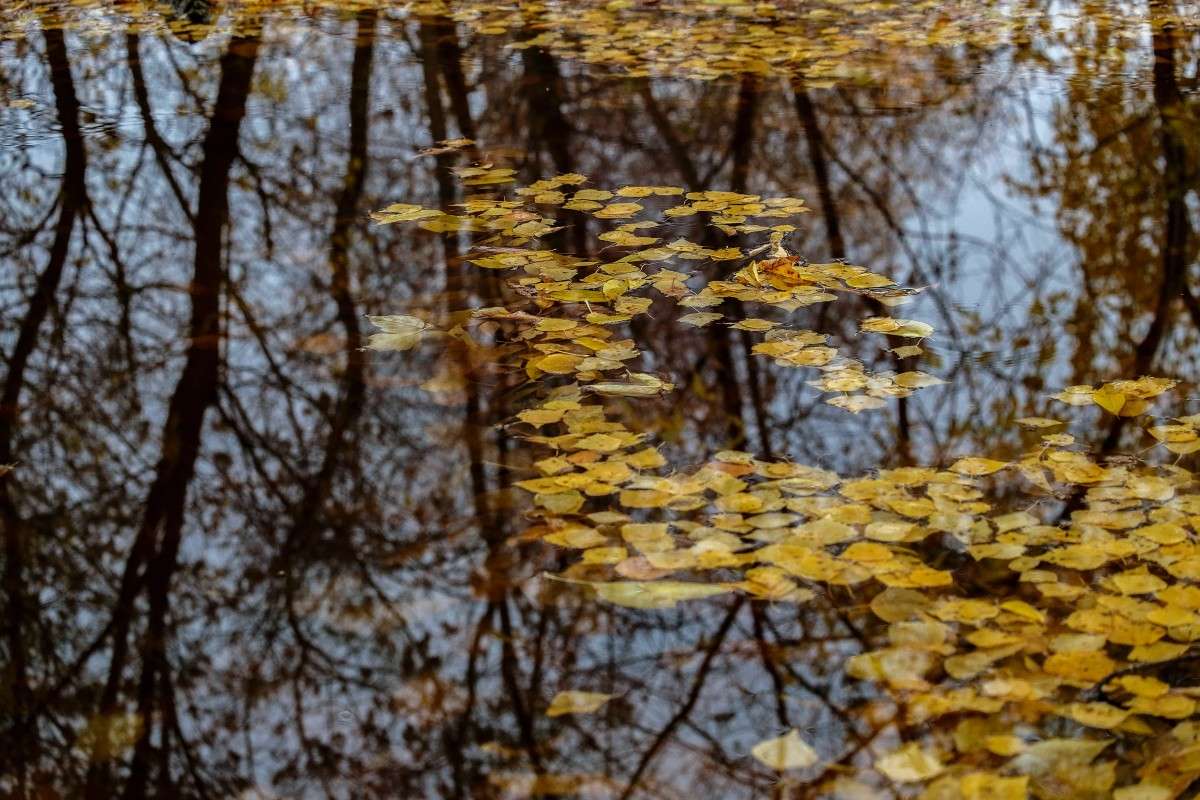 .... ����� ������  �� PhotoGeek.ru #������ ��� ������� #���������