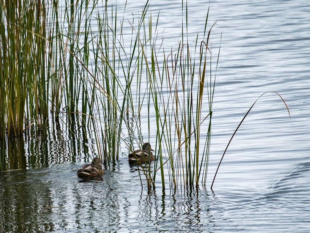 ��������� ���������.... ����� ������  �� PhotoGeek.ru #�������� ��� #����� ��� ��� ���������