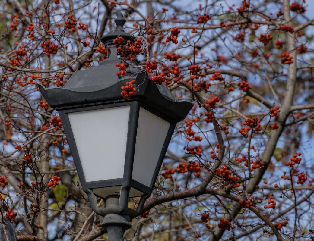 ������ � ����������.... ����� ������  �� PhotoGeek.ru #������ ��� ������� #���������