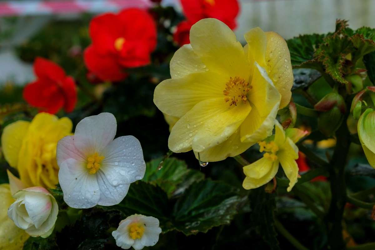 ��������� �����.... ����� ������  �� PhotoGeek.ru #������ ��� ������� #����� ��������������