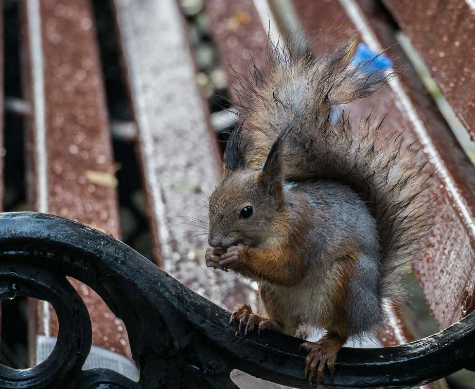 ����� ������.... ����� ������  �� PhotoGeek.ru #�������� ��� #����� ��� ��� ���������