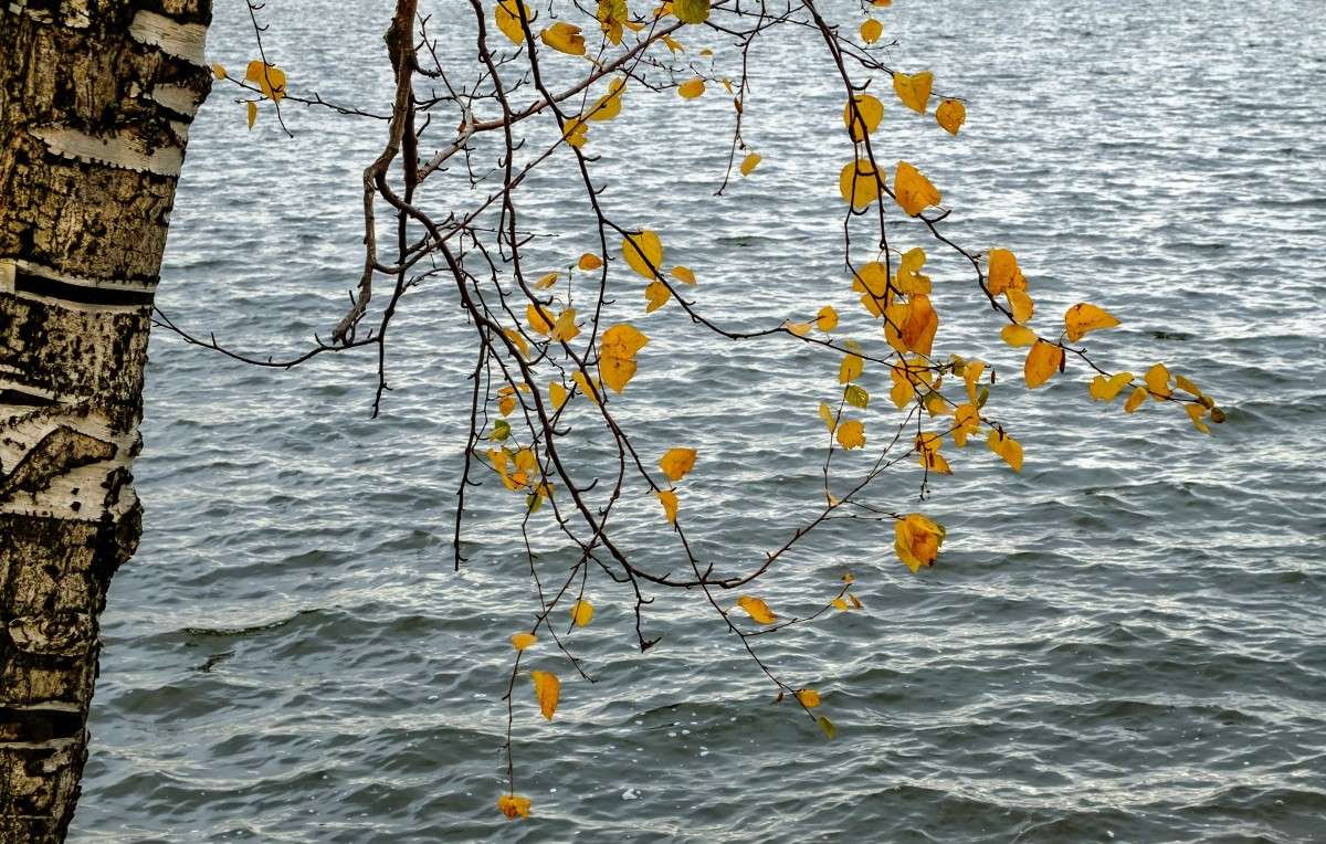 �����... ����� ������  �� PhotoGeek.ru #������ ��� ������� #����� ��������������