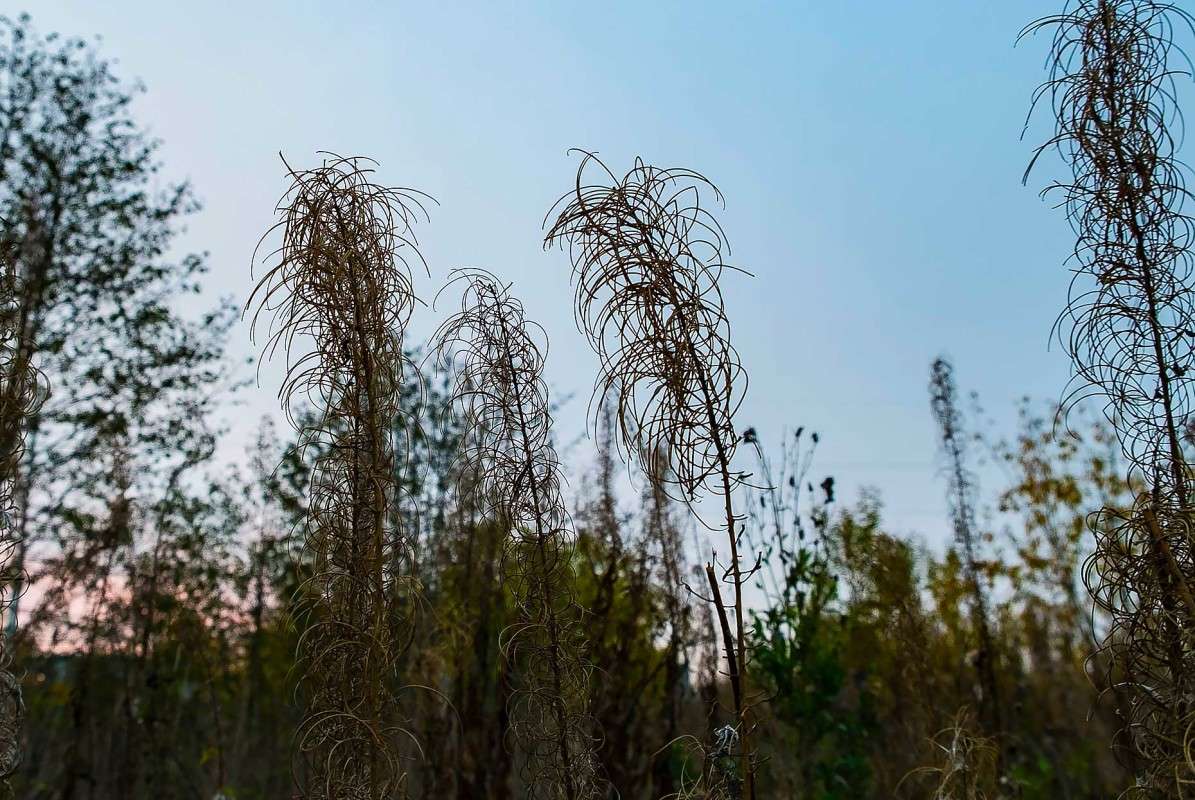 ����� ��� ����������..... ����� ������  �� PhotoGeek.ru #������ ��� ������� #���������