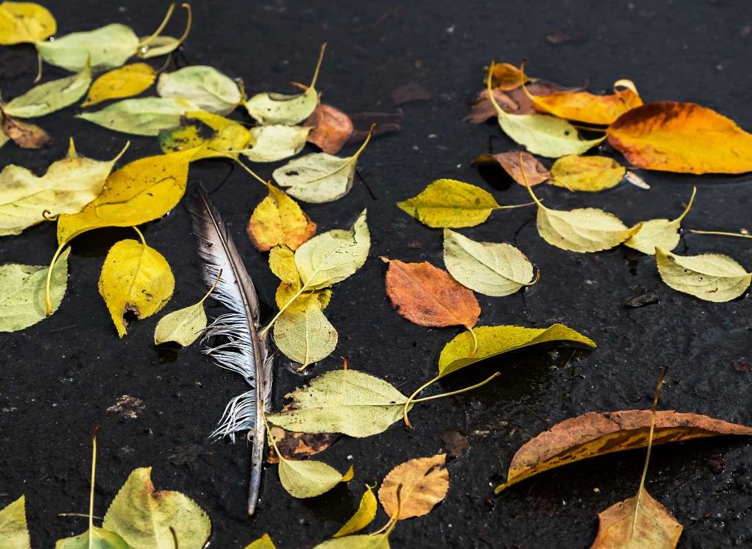 ������ ���-�� ������ ����������..... ����� ������  �� PhotoGeek.ru #������ ��� ������� #���������